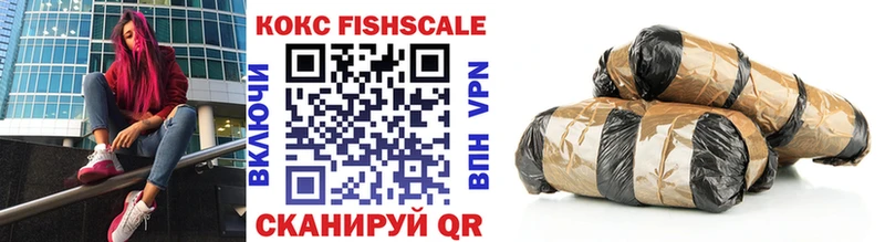 где купить наркотик  Петушки  КОКАИН FishScale 