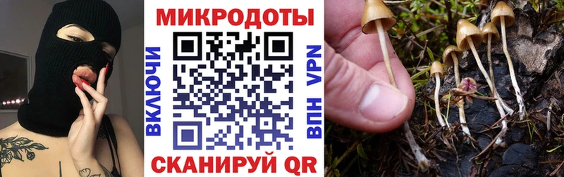 Псилоцибиновые грибы прущие грибы Петушки